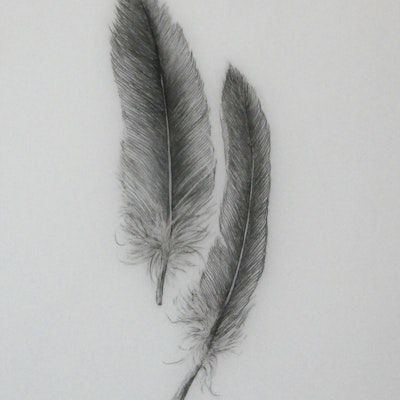 Feather Light 2